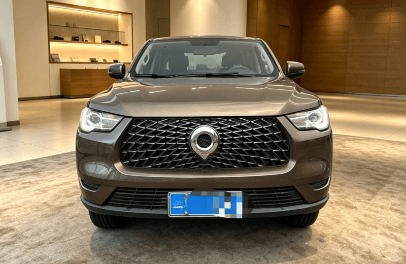 Great Wall Poer 2019